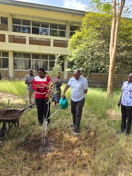 Amb. Kiboino and Director PS Office, leads the PC team in planting trees at the KEFRI Kitui offices