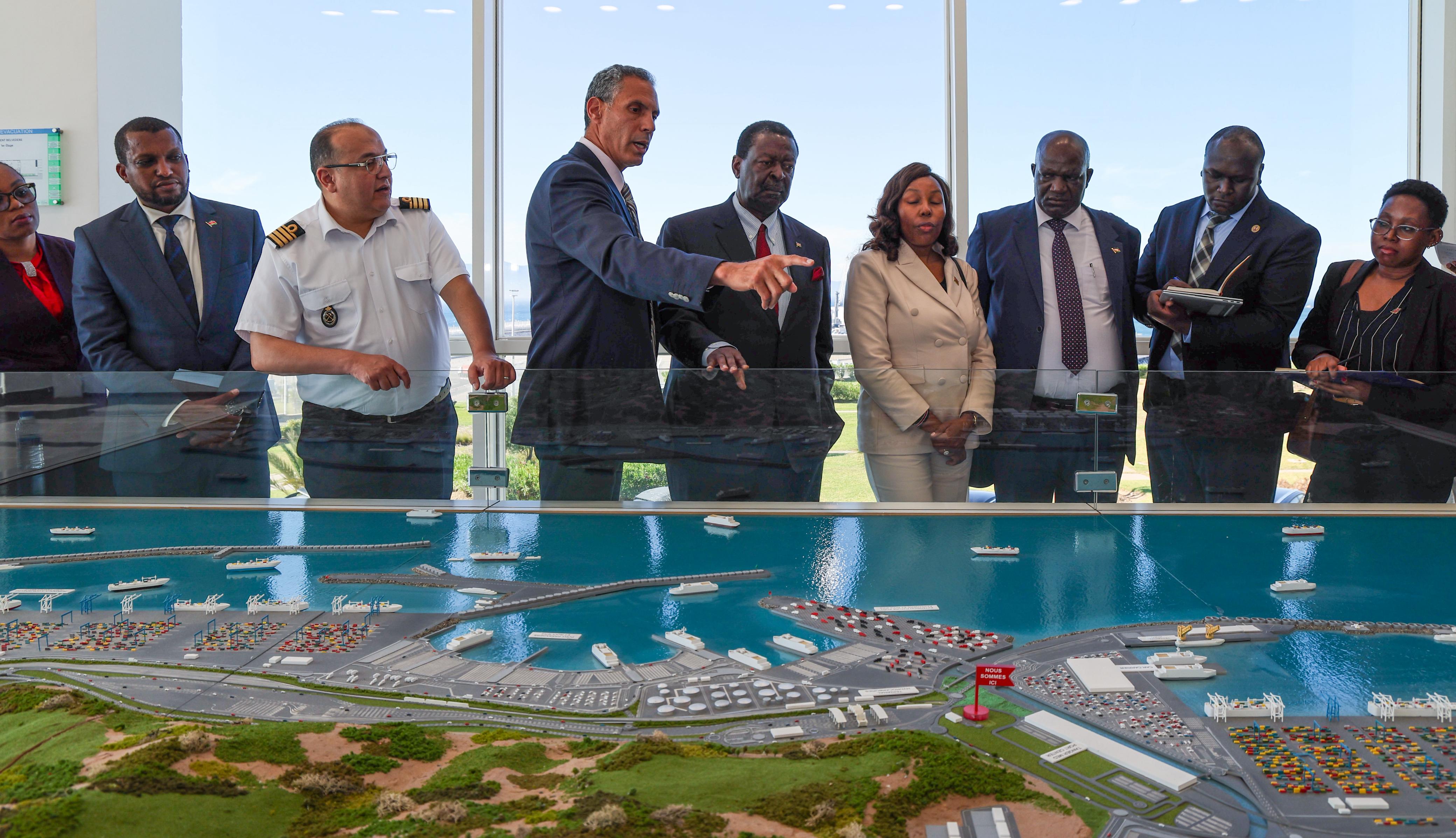 Inspecting Port projects