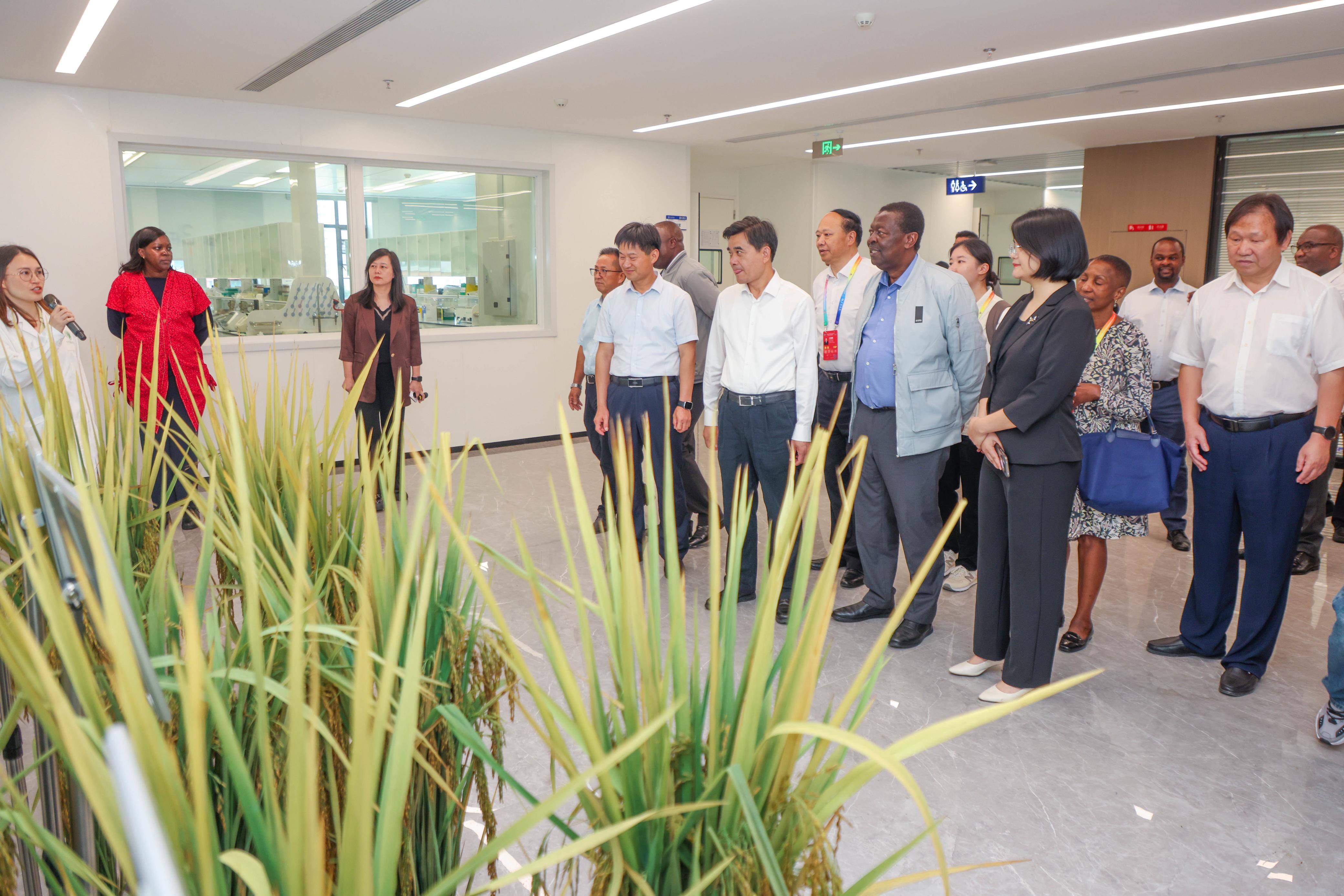 PCS Mudavadi at the Hunan Hybrid Rice Research Center at the Hunan Academy of Agricultural Sciences (HUNAAS) in Mapoling, Changsha. 