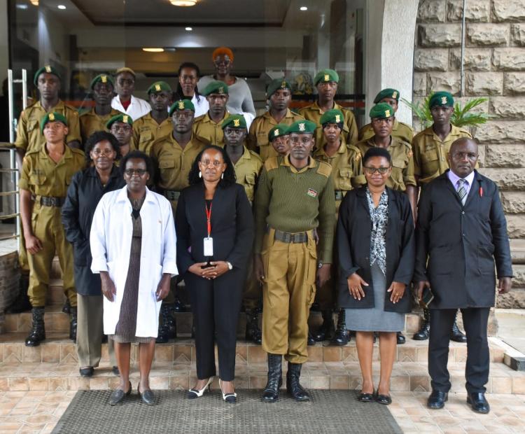 SDFA partners with NYS